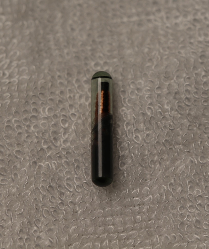 Microchips